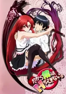 Dakara Boku wa, H ga Dekinai. cover image