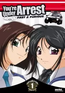 Taiho Shichau zo: Second Season cover image