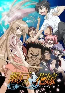 Seto no Hanayome cover image