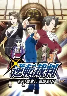 Gyakuten Saiban: Sono "Shinjitsu", Igi Ari! cover image