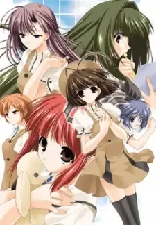 W: Wish cover image