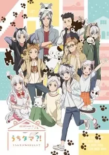Uchi Tama?! Uchi no Tama Shirimasen ka? cover image