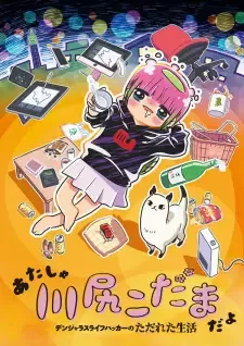 Atasha Kawashiri Kodama da yo: Dangerous Lifehacker no Tadareta Seikatsu cover image