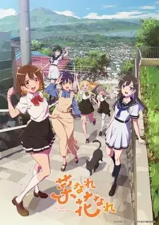 Na Nare Hana Nare cover image