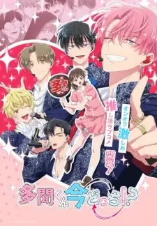 Tamon-kun Ima Docchi!? cover image