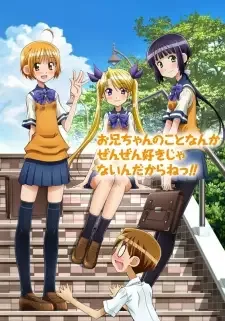 Oniichan no Koto nanka Zenzen Suki ja Nai n da kara ne!! cover image